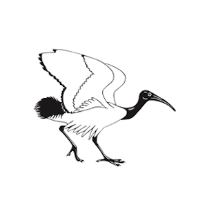 British Ornithologists' Club Logo