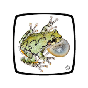 Society for the Study of Amphibians and Reptiles Logo